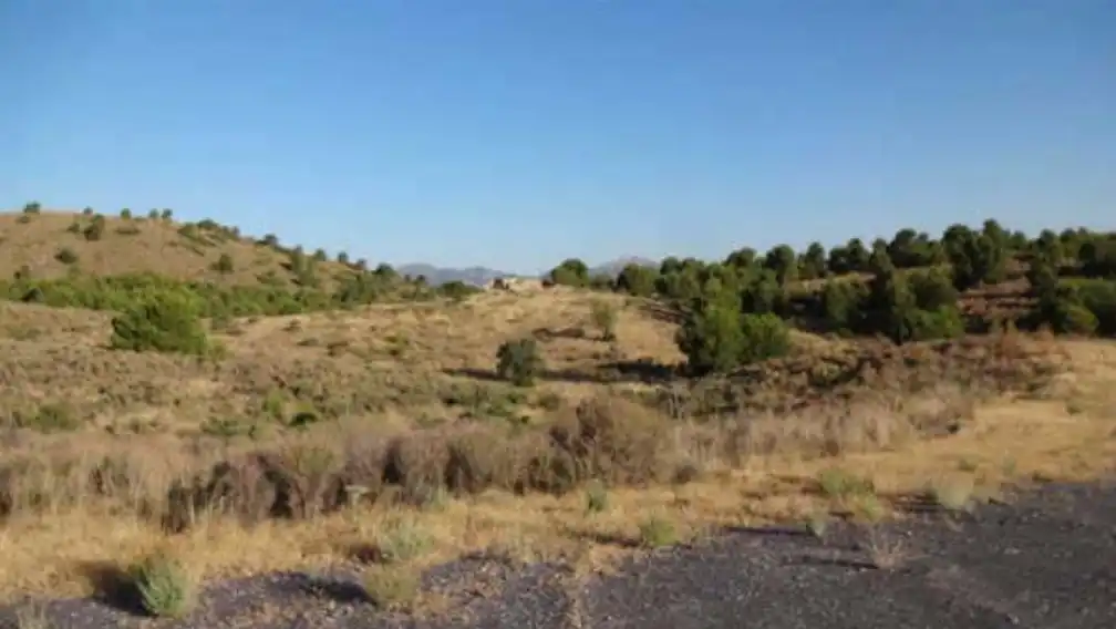 Terreno en venta en Lorca
