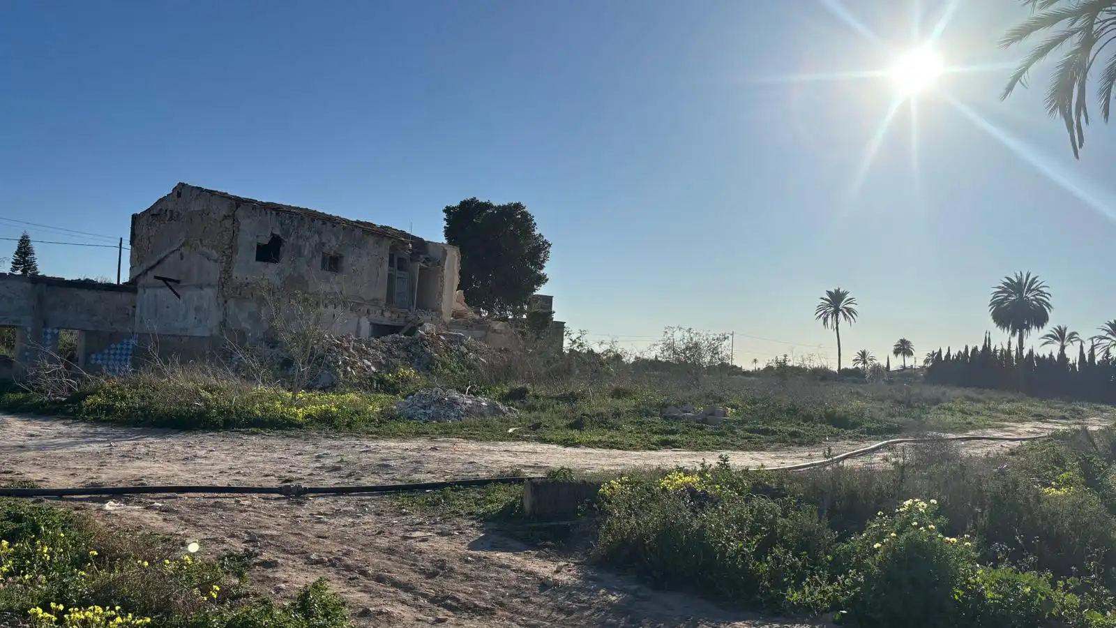 Grundstücke zum Verkauf in Elche / Elx