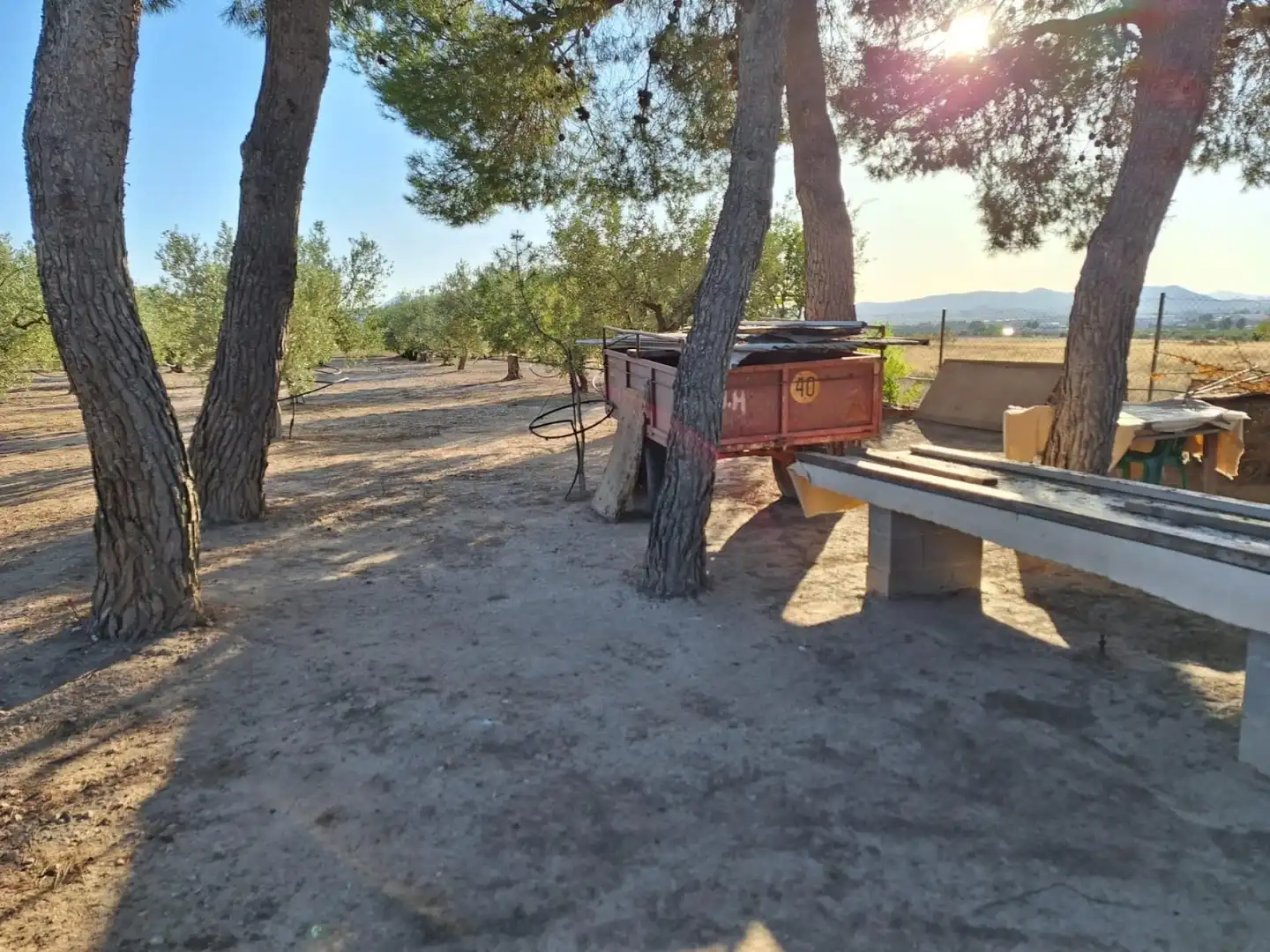 Jardín de Finca rústica en venta en Villena con Terraza y Piscina