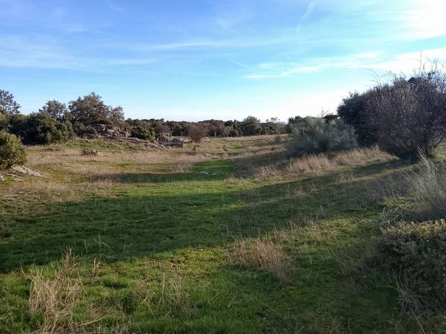 Terreno en Venta en Fresnedillas de la Oliva