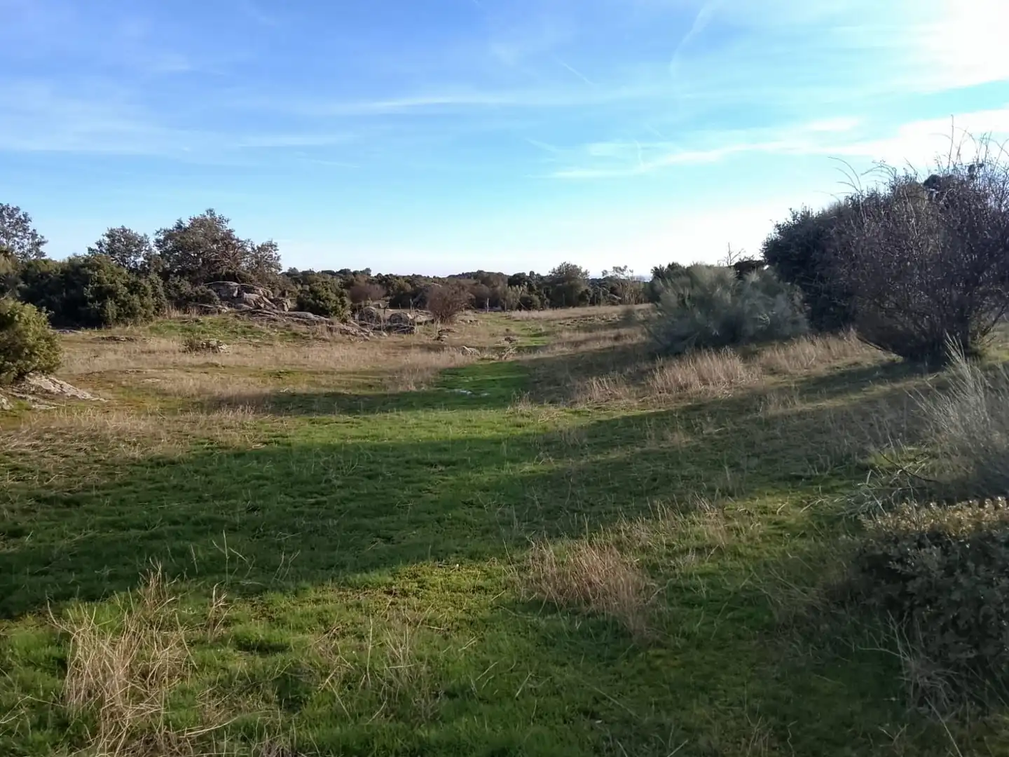 Terreno rustico in vendita a Fresnedillas de la Oliva