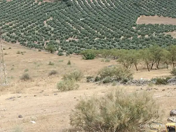 Terreni e lotti in vendita a Castellar