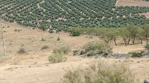 PARCELA EN LAS INMEDIACIONES DEL PUEBLO, POSIBILIDAD DE NAVE AGRÍCOLA, VIVIENDA