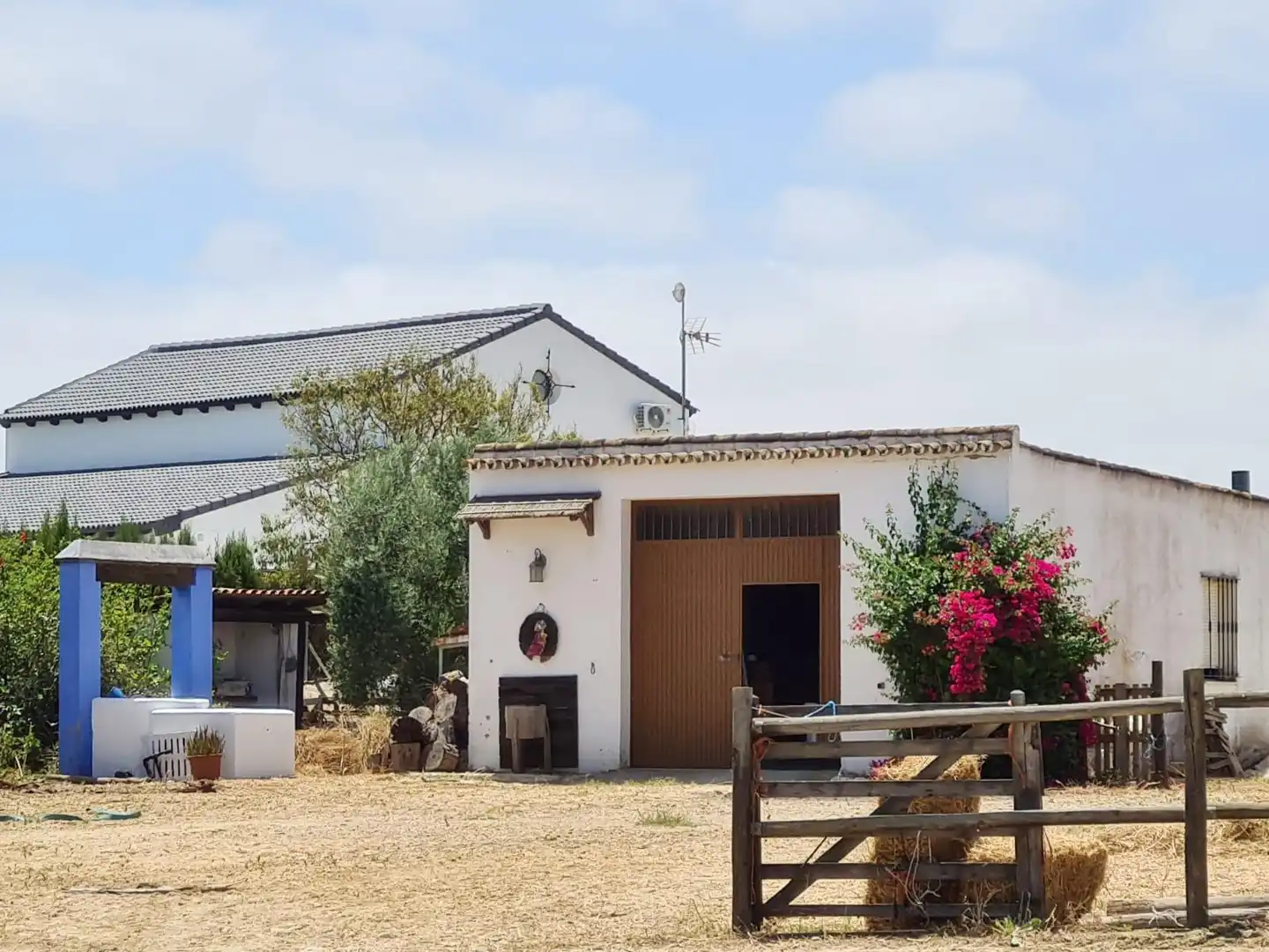 Vista exterior de Finca rústica en venda en Moguer, Huelva