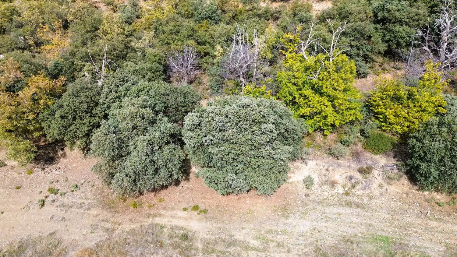 Country homes for sale in Pórtugos