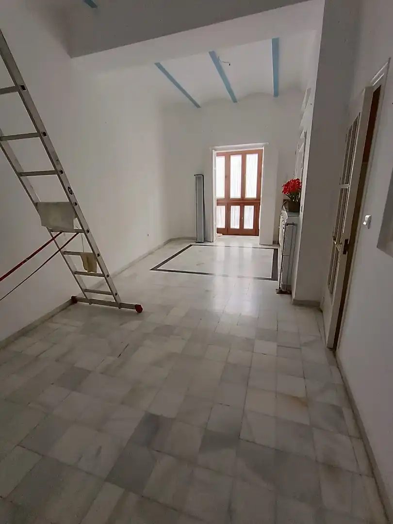 Houses for sale in El Rocío - La Milagrosa