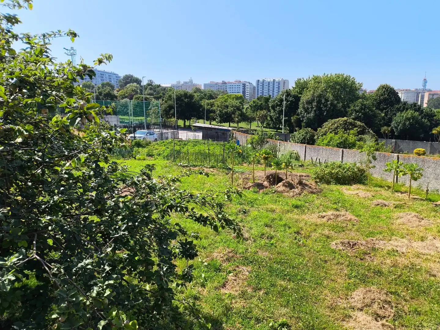 Terreni e lotti in vendita a Avenida de Lamadosa, imagen 9