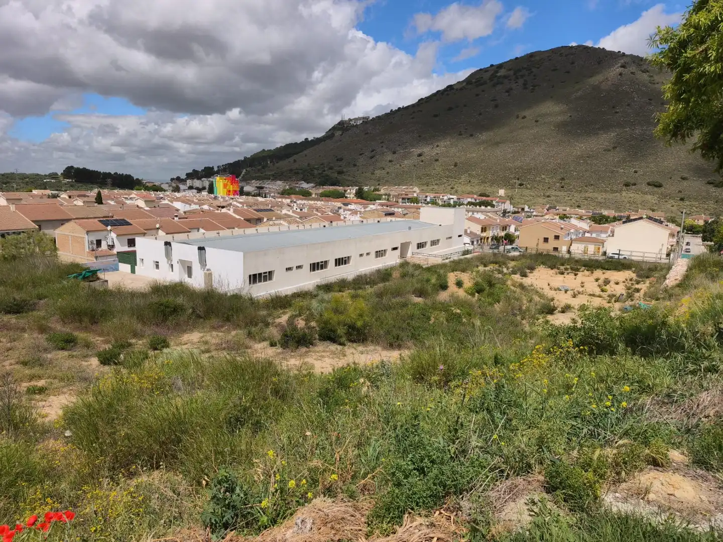 Inmuebles singulares en venta en Archidona, imagen 3