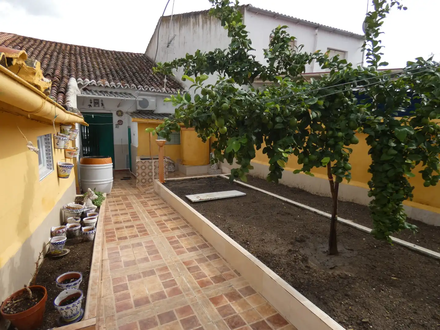 Maison à vendre à Azuaga, imagen 7