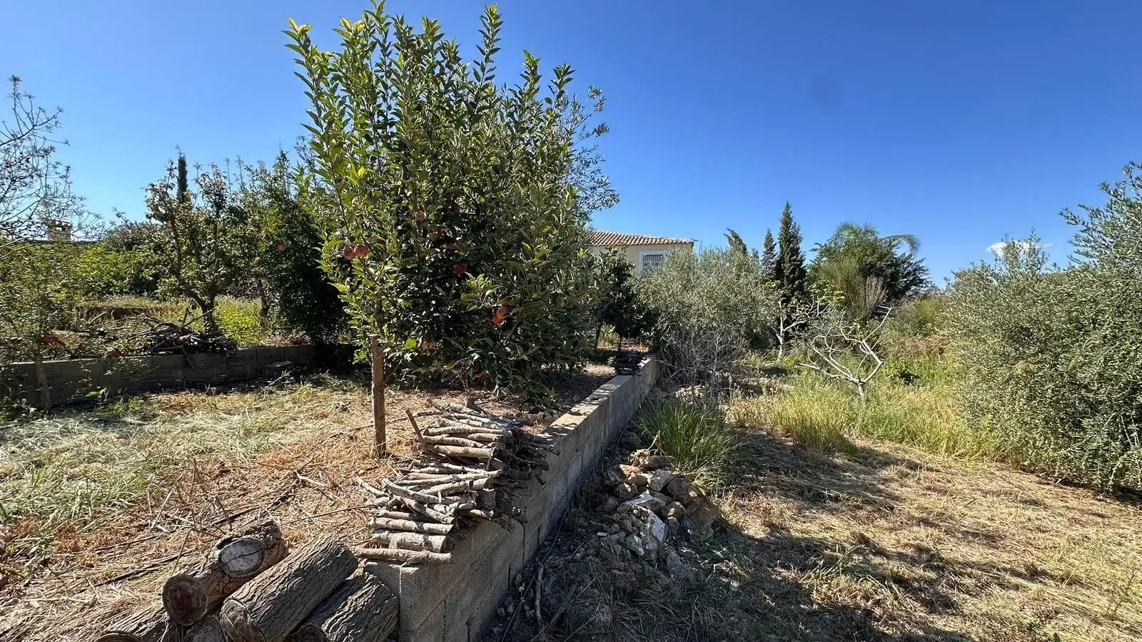 Chalet con piscina en venta en Alfarb, imagen 60