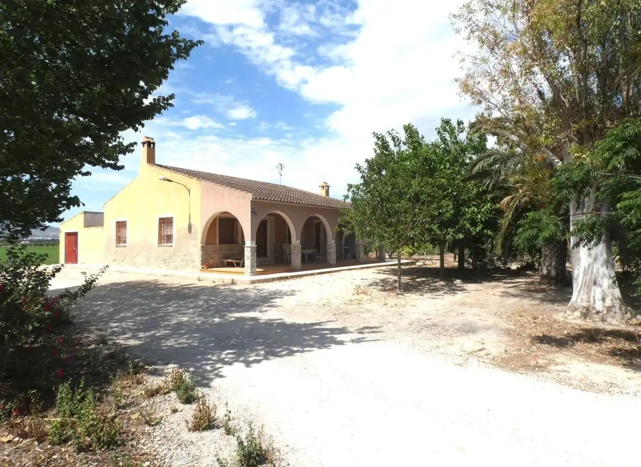 Vista exterior de Casa o chalet en venta en Crevillent con Aire acondicionado y Jardín privado