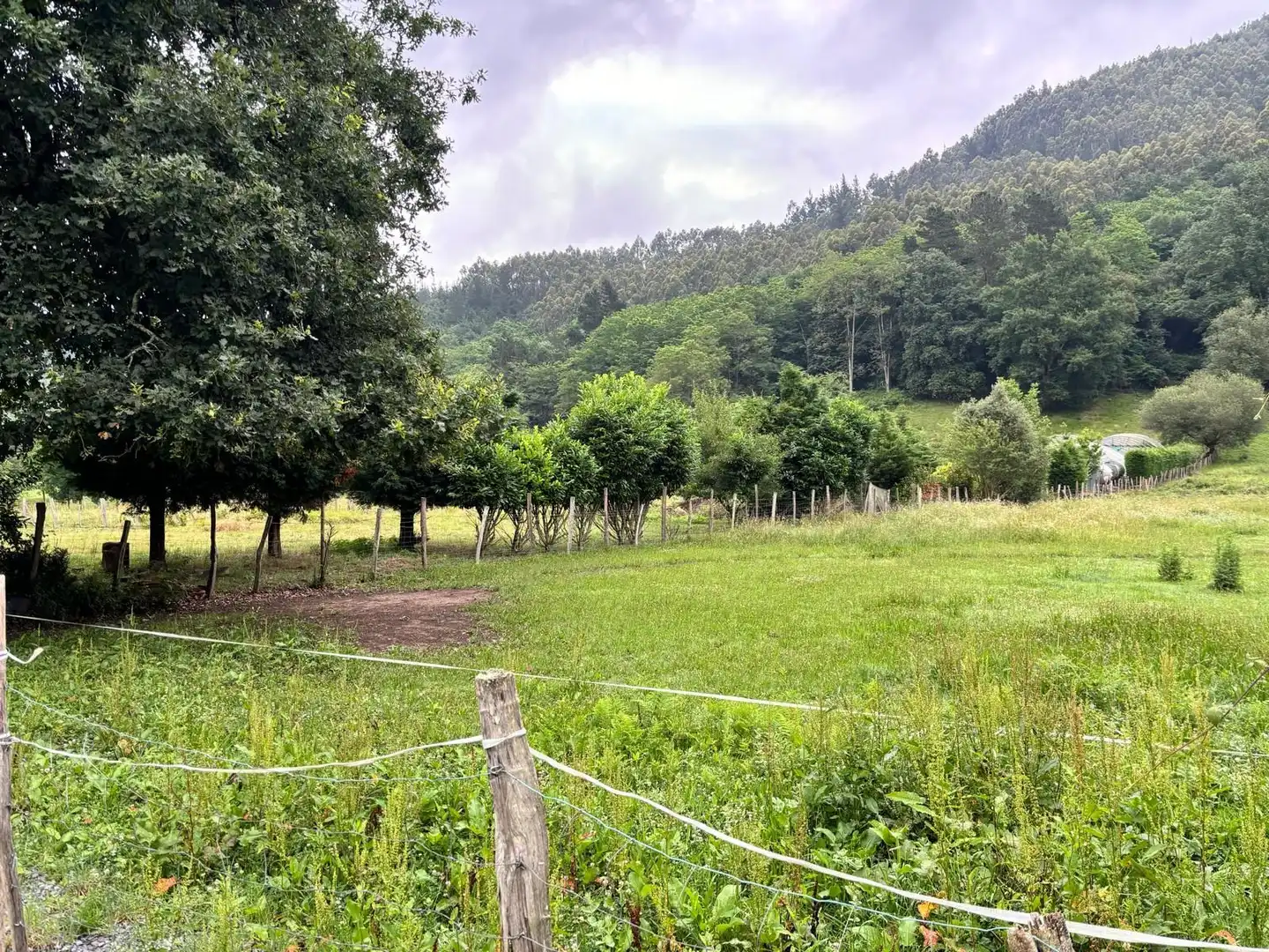 Terreno rustico in vendita a Okondo, imagen 3