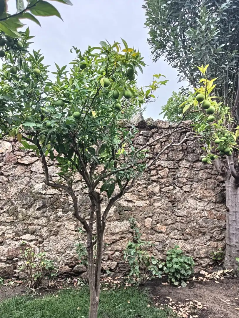 Casa o chalet en venta en Aldea del Cano con Calefacción, Jardín privado y Amueblado