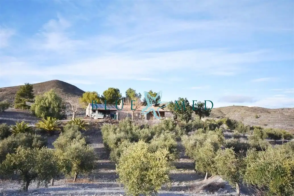 Maison à vendre à BEJAR, imagen 64