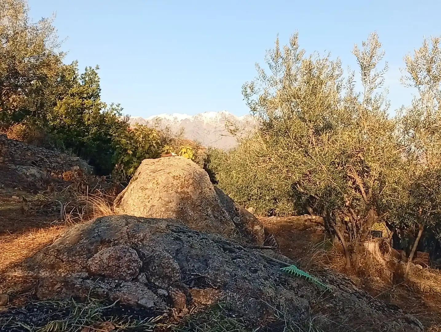 Terreni e lotti in vendita a Villanueva de la Vera, imagen 52