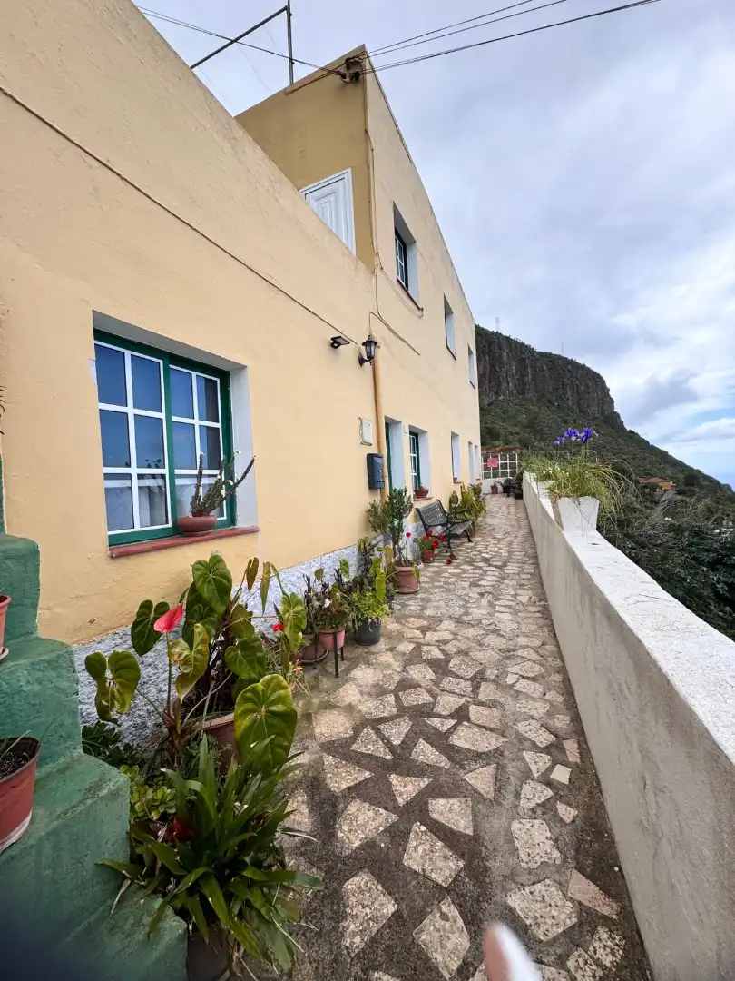 Vista exterior de Finca rústica en venta en Los Realejos con Jardín privado y Terraza