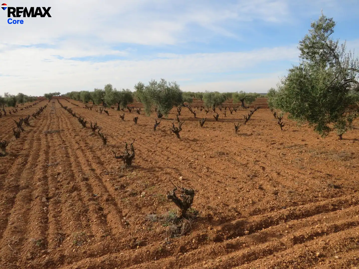 Grundstücke zum Verkauf in La Zarza (Badajoz)