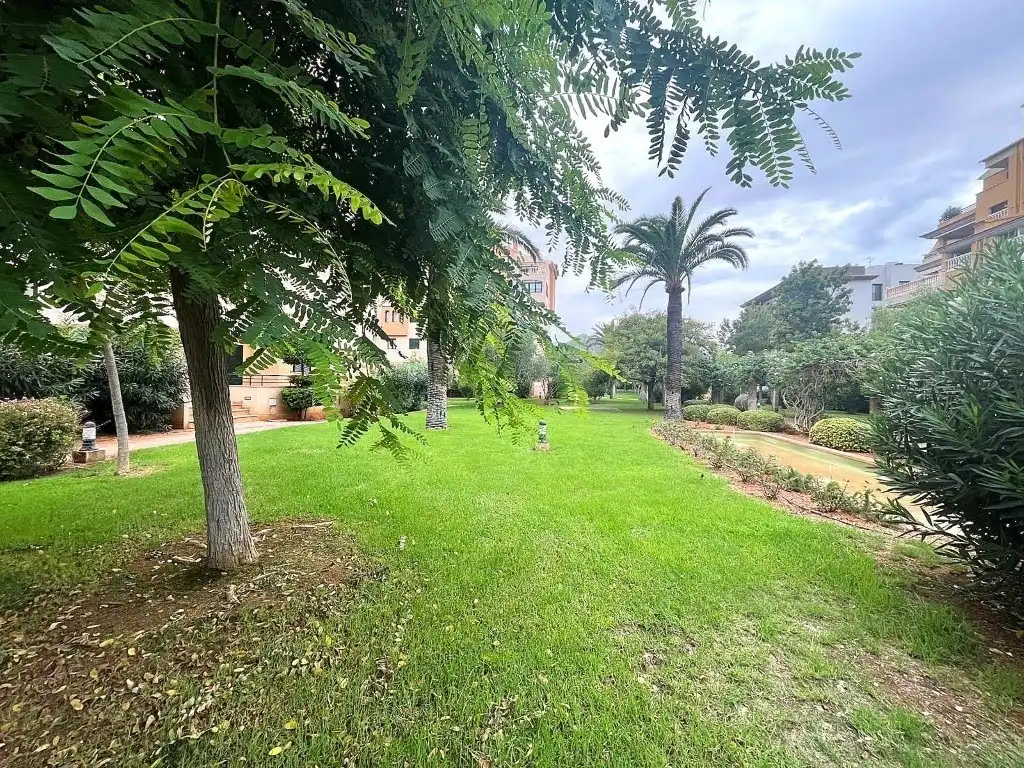 Pis amb terrassa en venda a Sant Llorenç des Cardassar, imagen 2