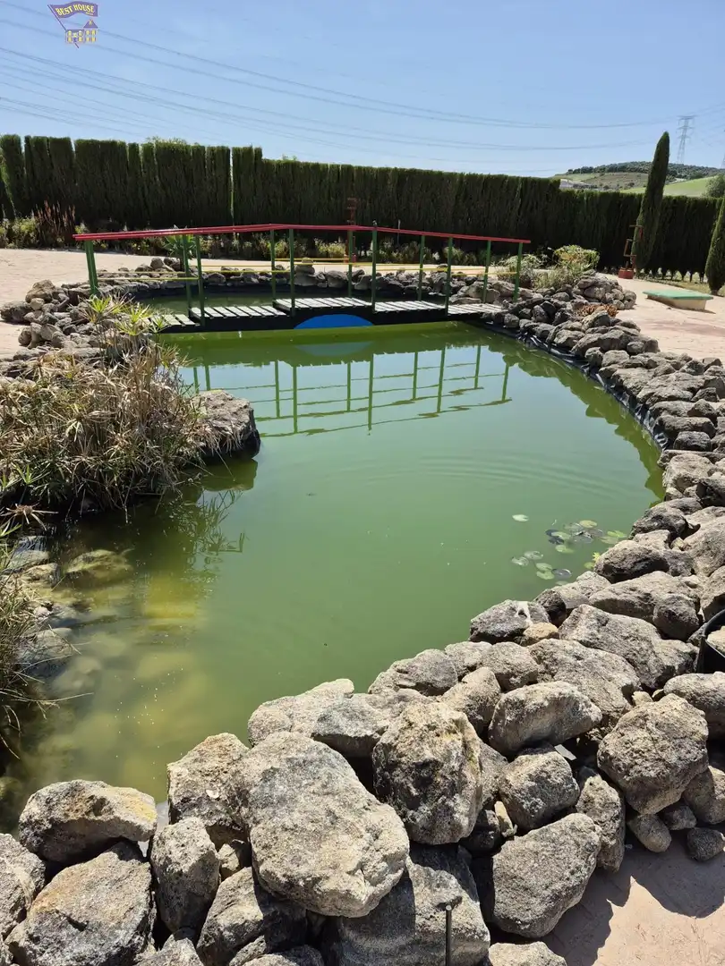 Casa rústica amb jardí en venda a Arcos de la Frontera, imagen 58