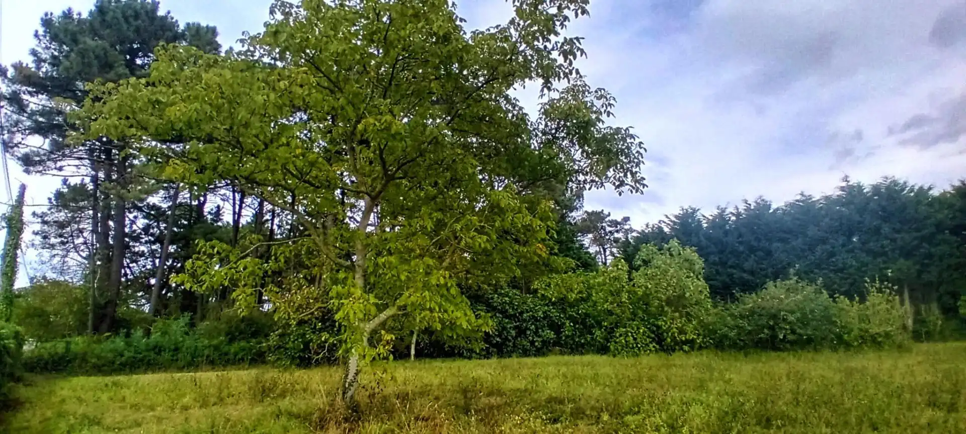 Terreny residencial en venda a Cerca de El Franco, imagen 4