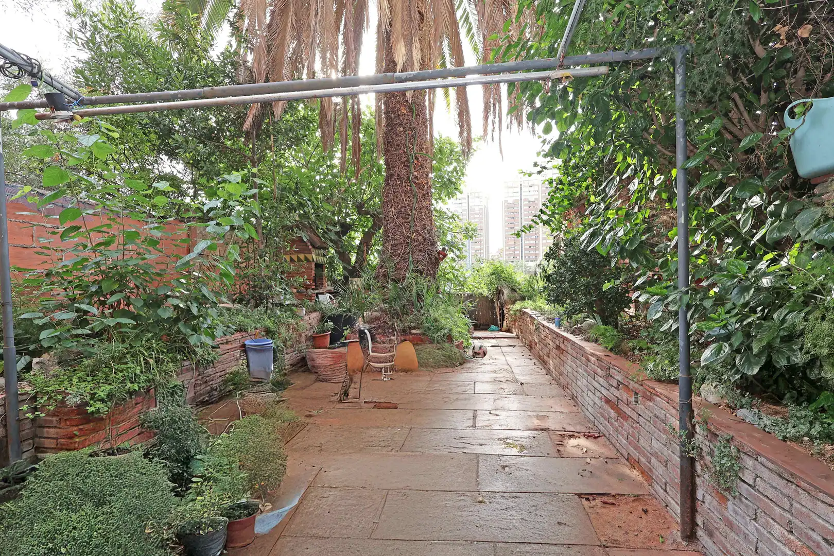 Jardí de Casa o xalet en venda en Esplugues de Llobregat amb Terrassa, Traster i Balcó