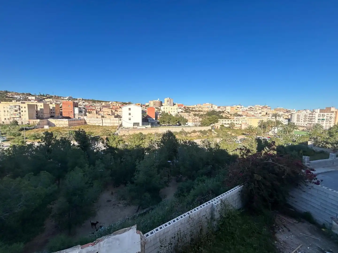 Vista exterior de Casa o chalet en venta en Crevillent con Terraza