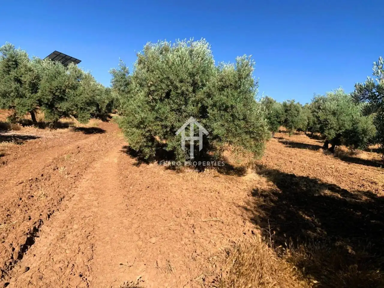 Terrain rustique à vendre à Loja, imagen 5