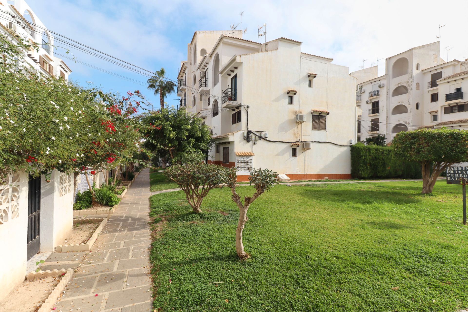 Vista exterior de Casa o xalet en venda en Torrevieja amb Piscina