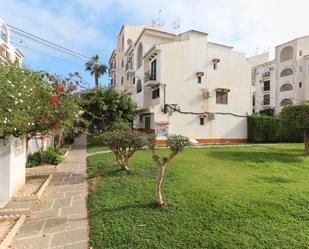 Exterior view of House or chalet for sale in Torrevieja  with Swimming Pool