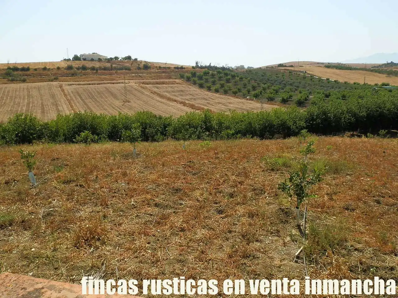 Terreni e lotti in vendita a Pizarra, imagen 25