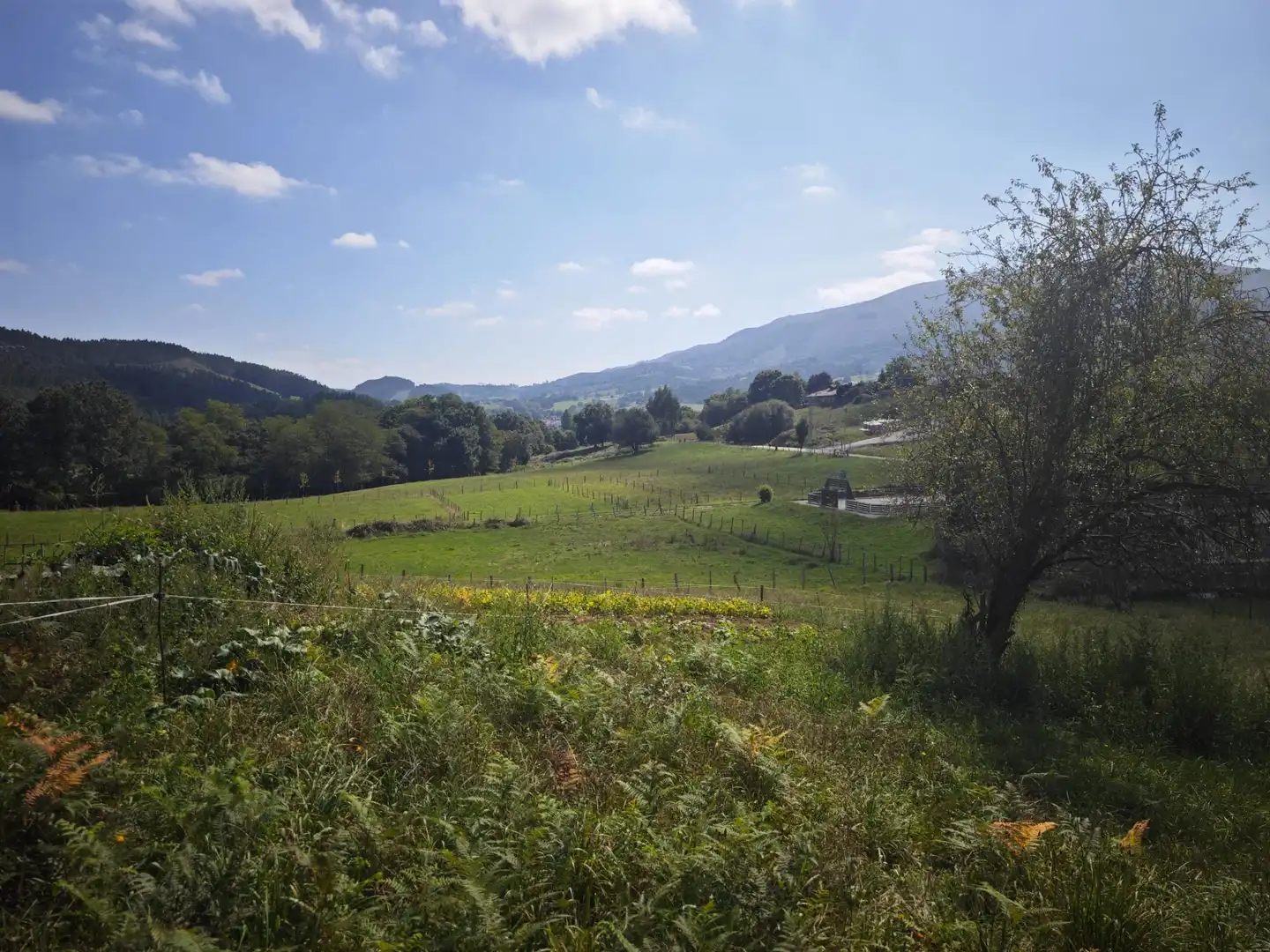 Residential land for sale in Mazcuerras, imagen 2