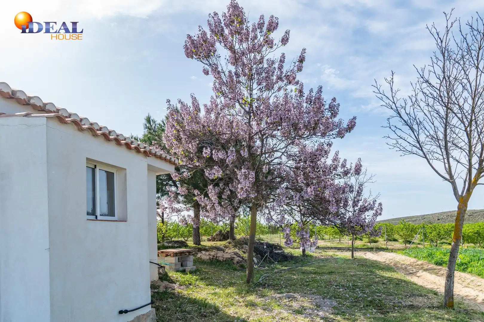 Terreni e lotti in vendita a Padul, imagen 42