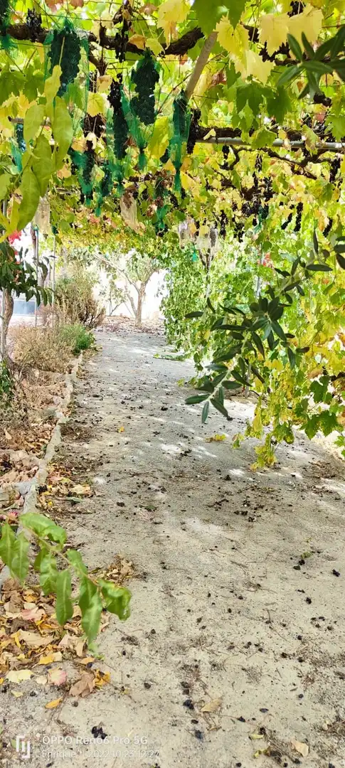 Casa o xalet en venda a Cortes y Graena