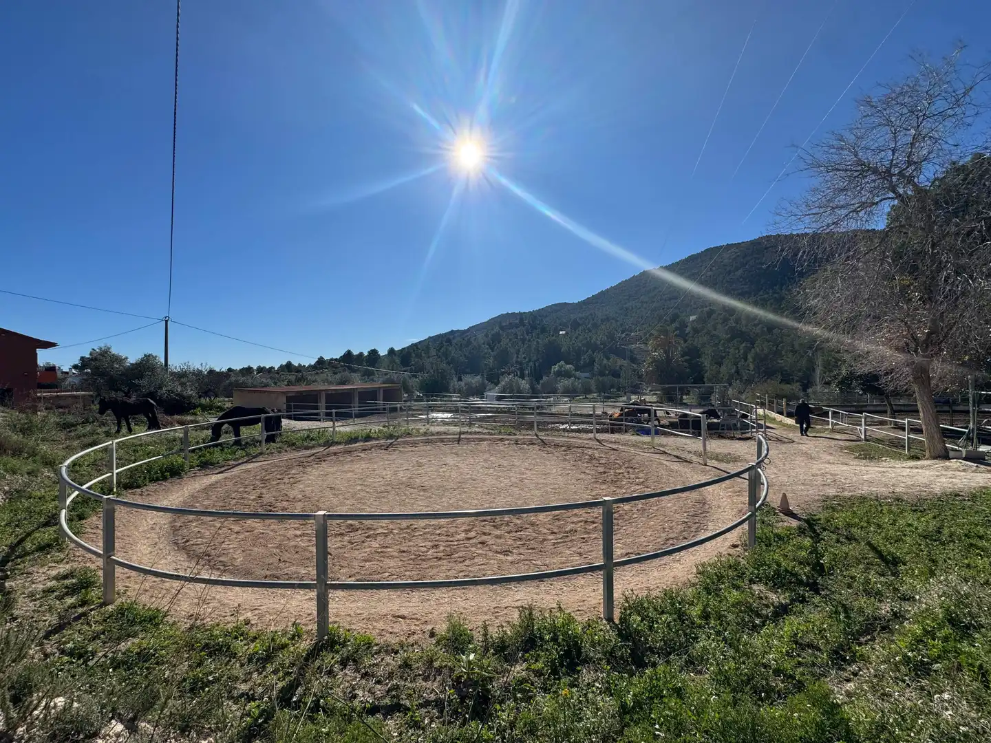 Landhaus zum Verkauf in Partida Partida l'Atzubia, imagen 75