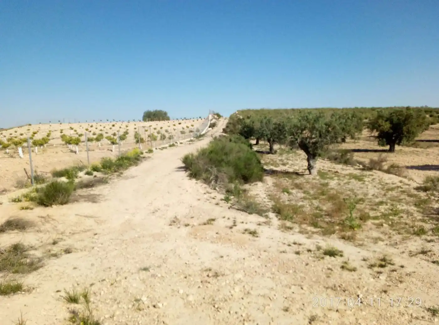 Terreny residencial en venda a Sierra de Carrascoy, imagen 39