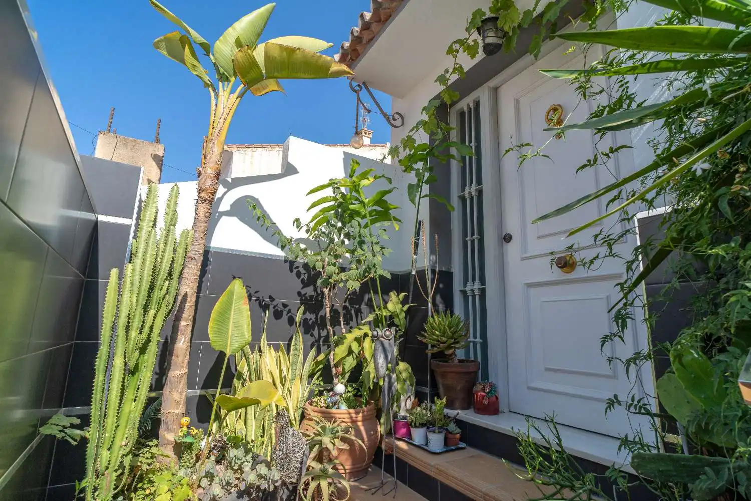 Casa o xalet en venda a Hispanidad - Vivar Téllez
