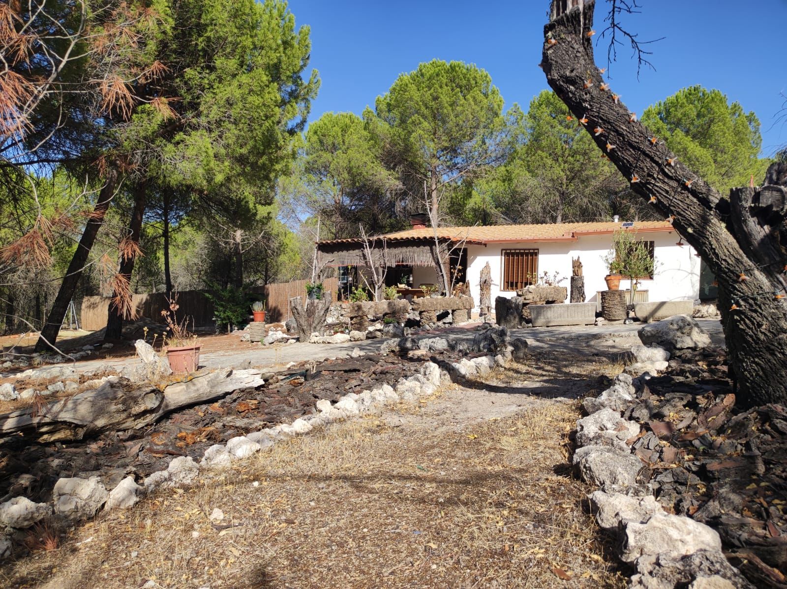 Casa o chalet en venta en Avenida Castillo, 18, Portillo