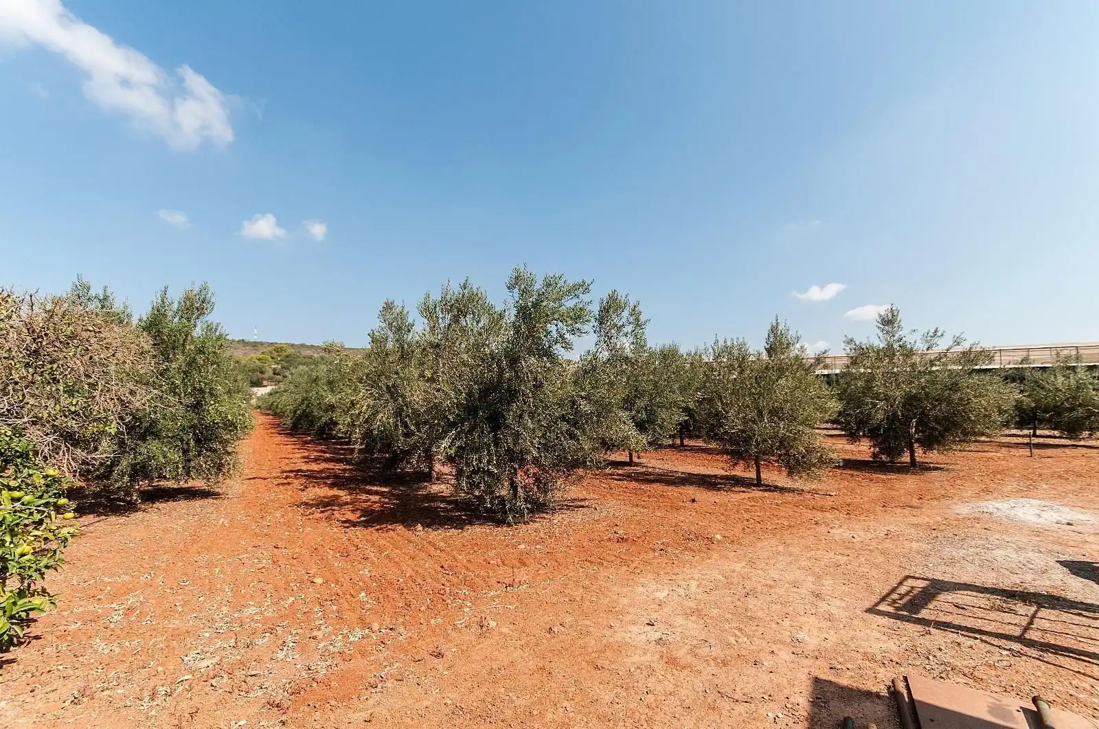 Casa o chalet en venta en  Palma de Mallorca con Aire acondicionado, Calefacción y Trastero