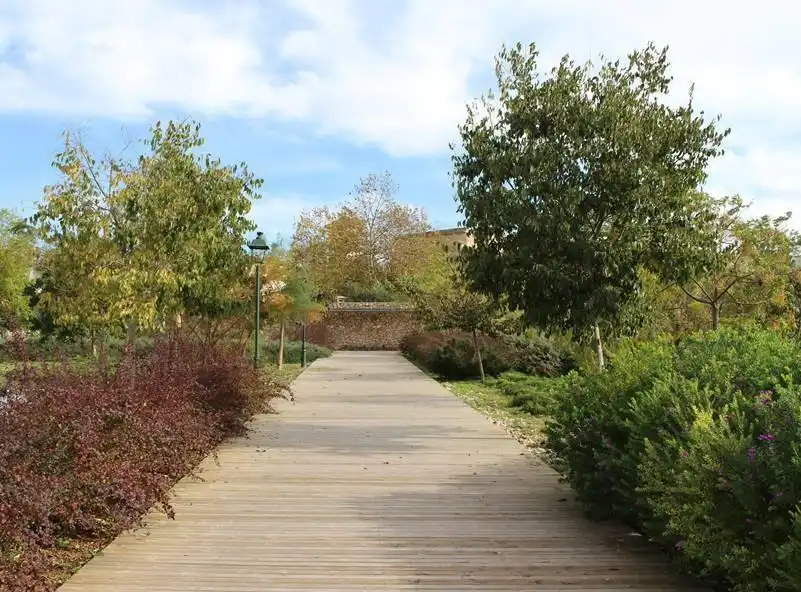 Residential land for sale in Calvià pueblo, imagen 6