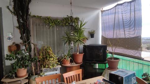 Foto 5 de Finca rústica de lloguer a Jubalcoi, Elche / Elx