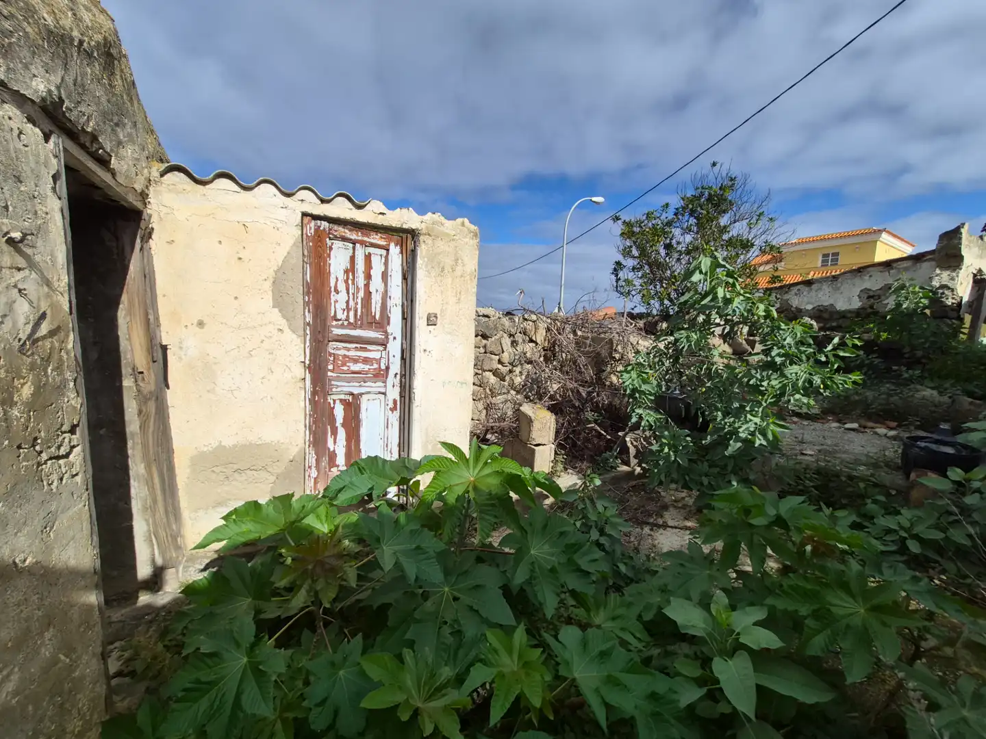 Rural land for sale in Camino la Cueva del Rey, imagen 38