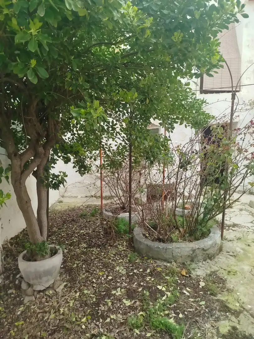 Casa con jardín en venta en Corral de Almaguer, imagen 13