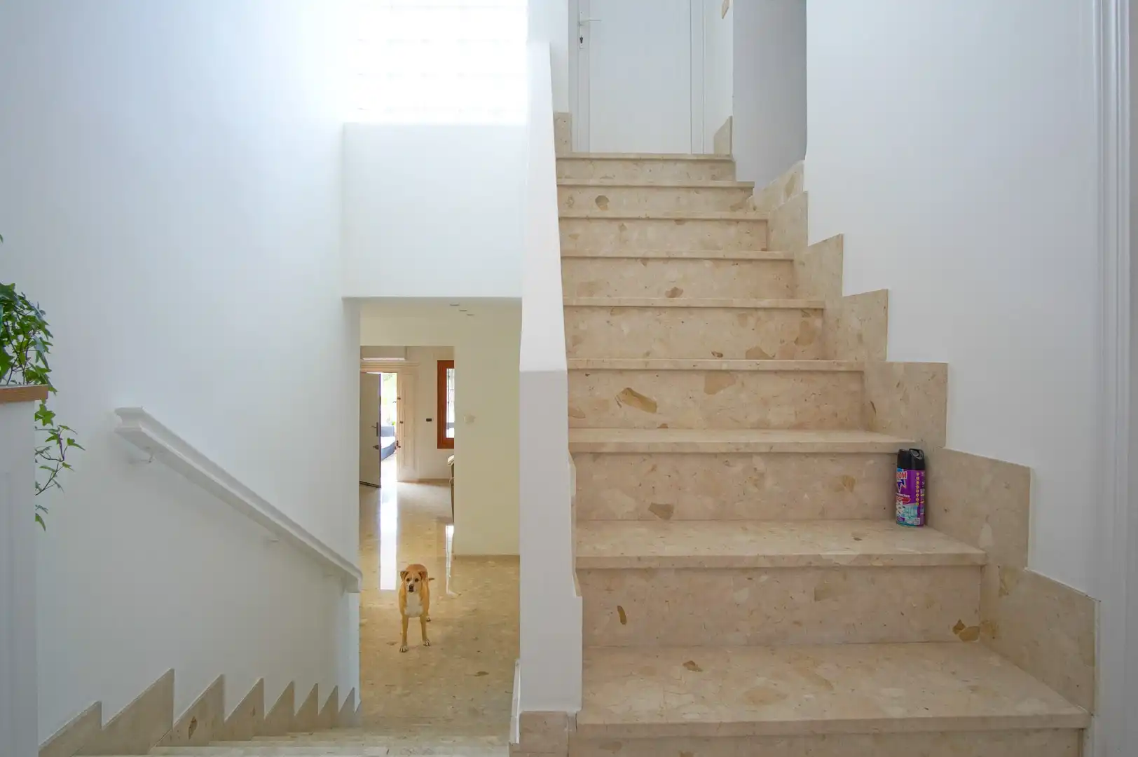 Detached house with terrace for sale in Las Rotas / Les Rotes, imagen 62