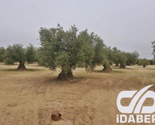 Land for sale in Olías del Rey