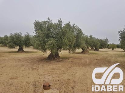 Land for sale in Olías del Rey