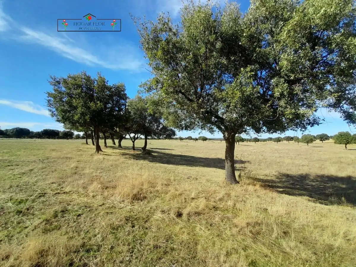 Finca rústica en venta en Carrascal del Obispo