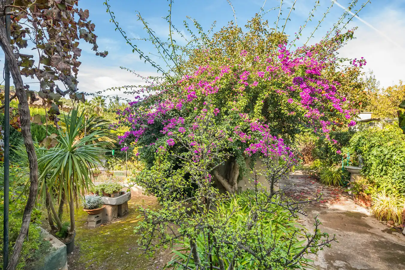 Country homes for sale in Sóller