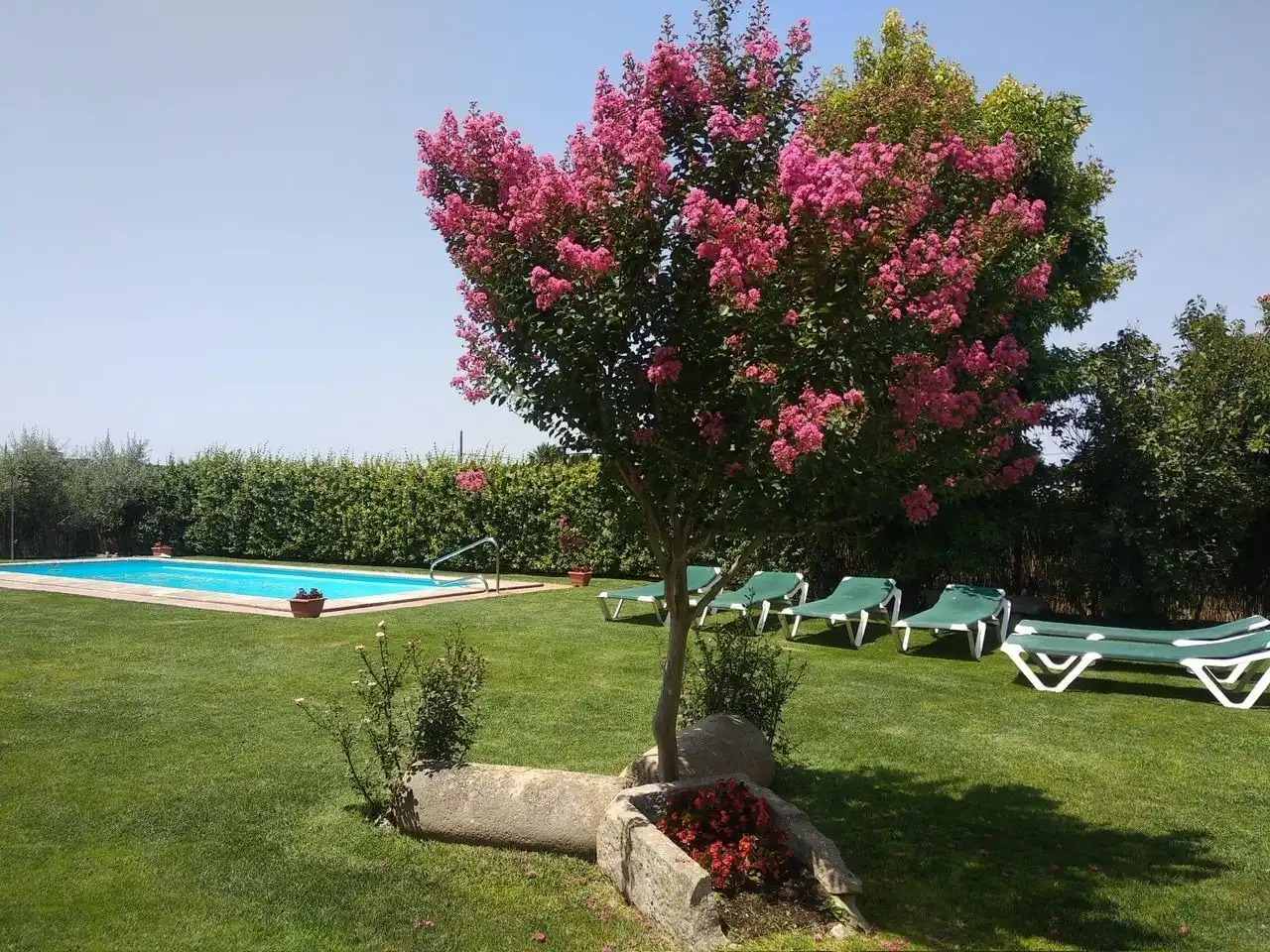 Piscina de Casa o xalet en venda en Vilanova de Bellpuig amb Calefacció, Jardí privat i Piscina