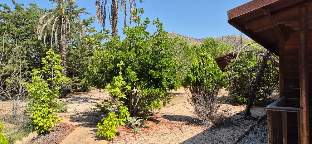 Jardín de Terreno en venta en Hellín