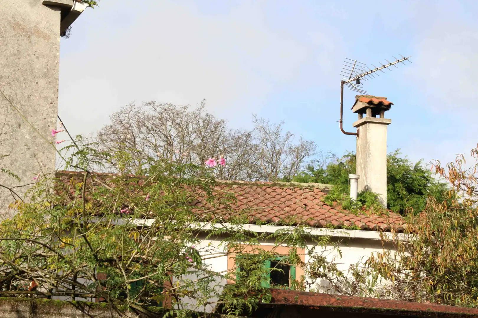 Maison rustique à vendre à N-550, imagen 10
